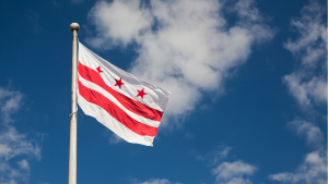 flag of the District of Columbia 