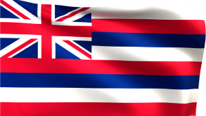 flag of the state of Hawaii